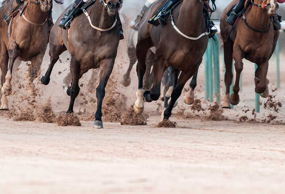Casinos, Gaming, Racing, and Wagering